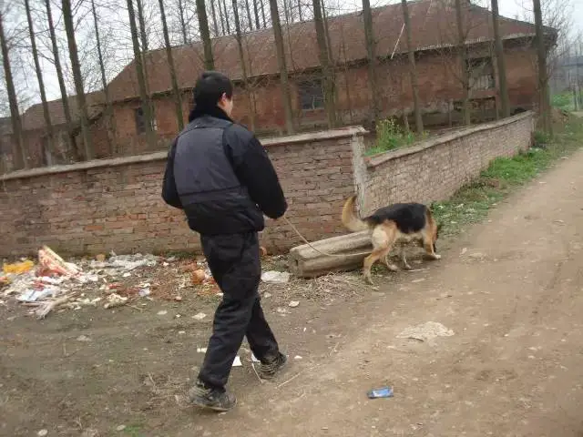 如何通过反馈分析提升篮球战术意识_2